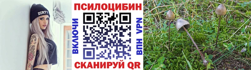 Галлюциногенные грибы GOLDEN TEACHER  Верхний Тагил 